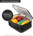 Fridge Cold Lunch Box - Black Ice