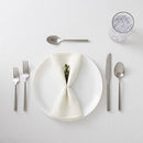 20-Piece Izon Flatware Set - Silver