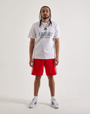 Adidas Adicolor Firebird Shorts