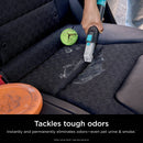 Portable Carpet & Upholstery Cleaner - Gray