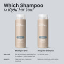 One Hair Shampoo - 33.8 fl oz: Basic Cleansing, Liquid Form, Suitable for All Hair Types