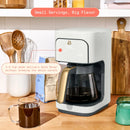 12-Cup Programmable Coffee Maker - White Icing