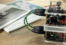 Apos x Hart Audio XLR Interconnect Cables for Gremlin Amp, Merlin DAC, Druid DAC
