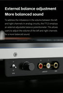 FiiO TT13 Turntable