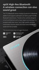 FiiO TT13 Turntable