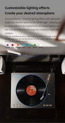 FiiO TT13 Turntable