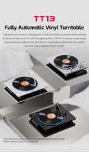 FiiO TT13 Turntable