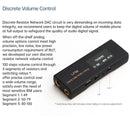 Cayin RU7 1-Bit Resistor Network Portable DAC