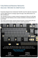 Cayin RU7 1-Bit Resistor Network Portable DAC
