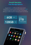 Cayin N6iii Digital Audio Player