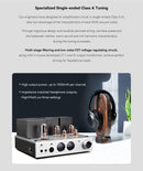 Cayin HA-2A Desktop Tube Headphone Amplifier