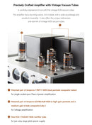 Cayin HA-2A Desktop Tube Headphone Amplifier