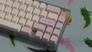 ePBT Axolotls Keycap Set