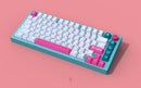 ePBT RamenStop Keycap Set