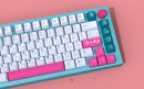 ePBT RamenStop Keycap Set