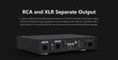 Eversolo DAC-Z8 HIFI Desktop DAC