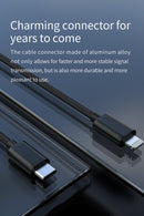 FiiO LT-LT1 USB Type-C to Lightning Data Cable