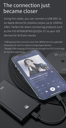 FiiO LT-LT1 USB Type-C to Lightning Data Cable