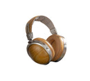 FiiO FT1 Closed-Back Over-Ear Headphones