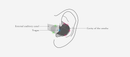 final A4000 Dynamic Driver IEM