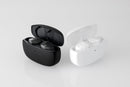 final ZE3000 Dynamic Driver IEM