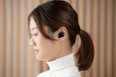 final ZE3000 Dynamic Driver IEM