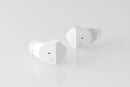 final ZE3000 Dynamic Driver IEM