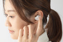 final ZE3000 Dynamic Driver IEM