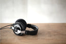 final D8000 Planar Magnetic Headphone