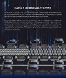 GUSTARD DAC-R26II Network Streaming R2R DAC