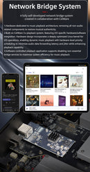 GUSTARD R30 Fully-Discrete R2R Network Streaming DAC