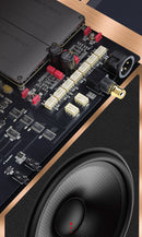GUSTARD R30 Fully-Discrete R2R Network Streaming DAC (Apos Certified)