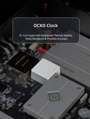 GUSTARD R30 Fully-Discrete R2R Network Streaming DAC