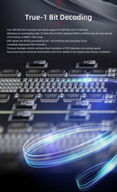 GUSTARD R30 Fully-Discrete R2R Network Streaming DAC