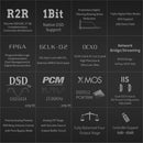 GUSTARD R30 Fully-Discrete R2R Network Streaming DAC