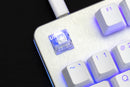 Hexgears Gemini Hot-Swap TKL Mechanical Keyboard