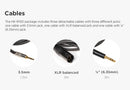 HIFIMAN HE-R10D Dynamic Closed-Back Headphone