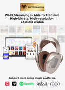 HIFIMAN HE1000 WiFi Streaming Media Planar Magnetic Headphones