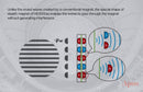 HIFIMAN HE1000se Planar Magnetic Headphone (Apos Certified)