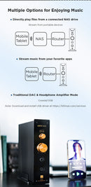 HIFIMAN EF499 DAC/Amp (Apos Certified)