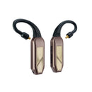 iFi Audio Go Pod Max Portable IEM Bluetooth DAC/AMP (Unit Only)
