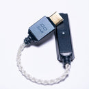 iFi GO Link 2