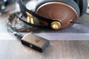 iFi GO blu Portable DAC/Amp
