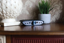 iFi ZEN CAN Signature HFM (Apos Certified)