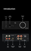 Le Audio Cattle Pro Class D Power Amplifier