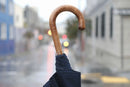 Lost Monarch Solid Stick Umbrella in Scorched Maple