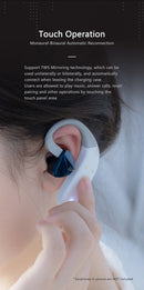EVO Dual ES9318 Bluetooth Ear-Hooks