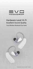 EVO Dual ES9318 Bluetooth Ear-Hooks