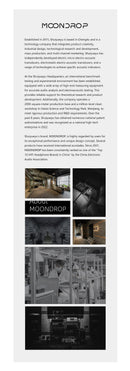 Moondrop Concerto IEMs (Apos Certified)