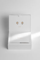 Moondrop Psyche 10-Driver Reference In-ear Monitors